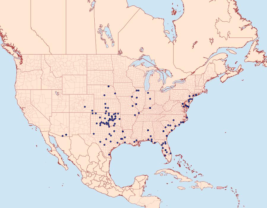 Distribution Data for Schinia saturata