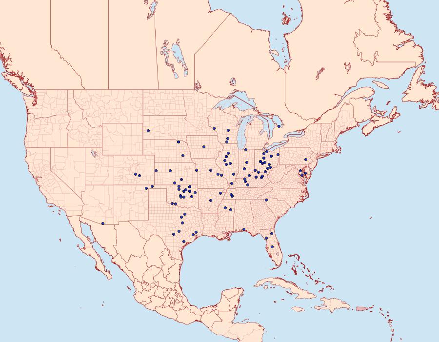 Distribution Data for Schinia thoreaui