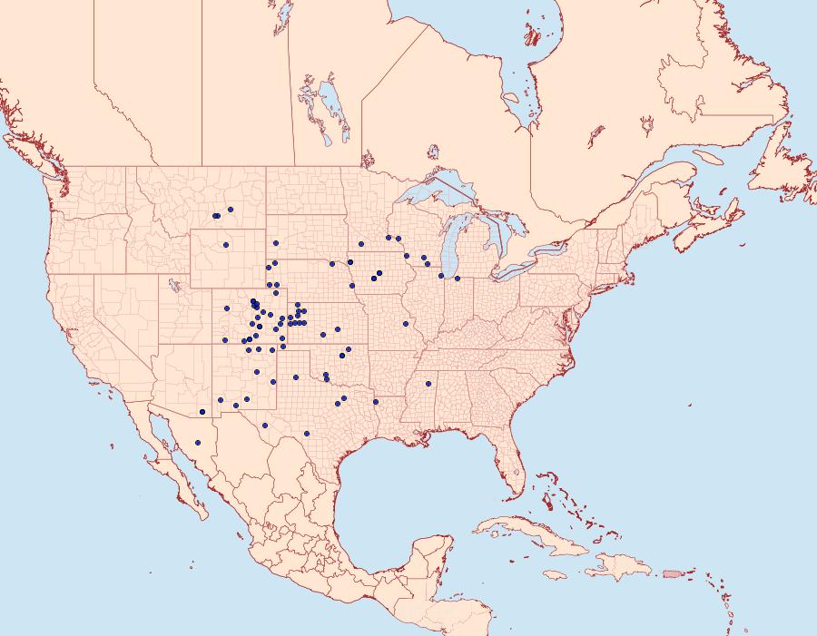 Distribution Data for Schinia grandimedia