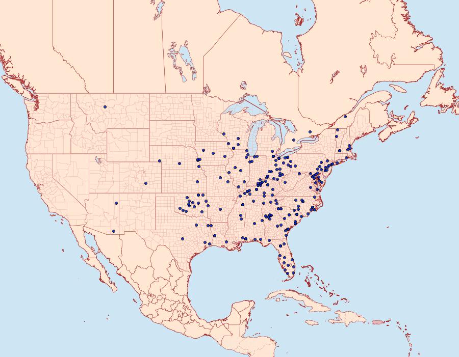 Distribution Data for Schinia trifascia