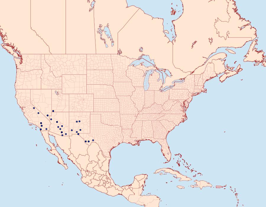 Distribution Data for Schinia miniana