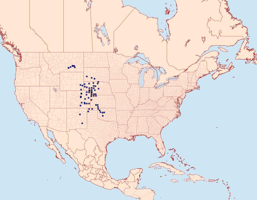 Distribution Data for Schinia simplex