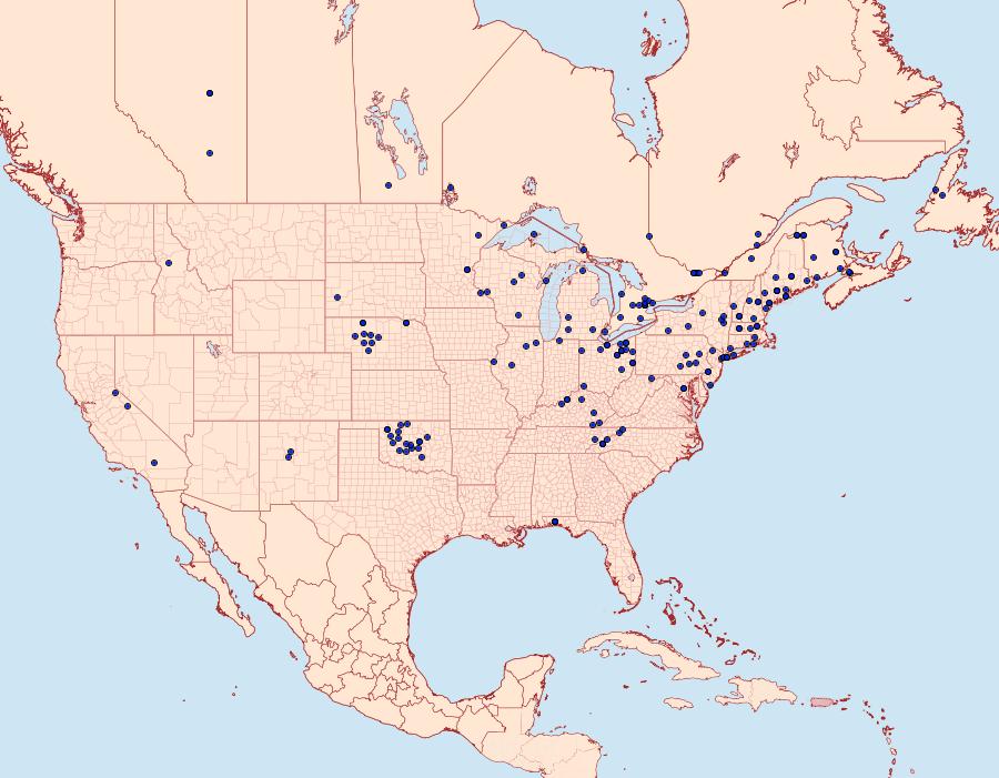 Distribution Data for Schinia florida