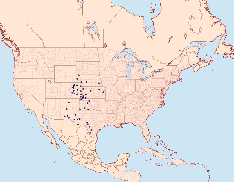 Distribution Data for Schinia regina