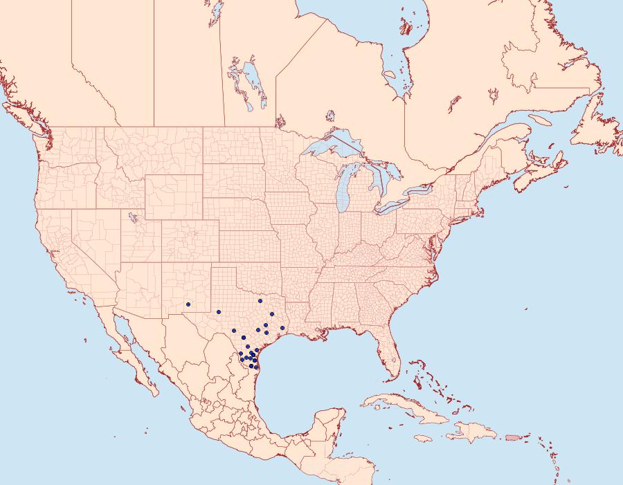 Distribution Data for Schinia regia