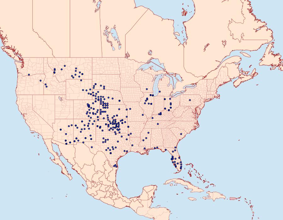 Distribution Data for Schinia gaurae