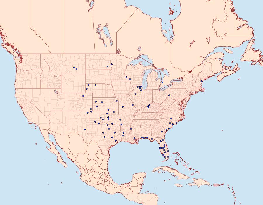 Distribution Data for Schinia sanguinea