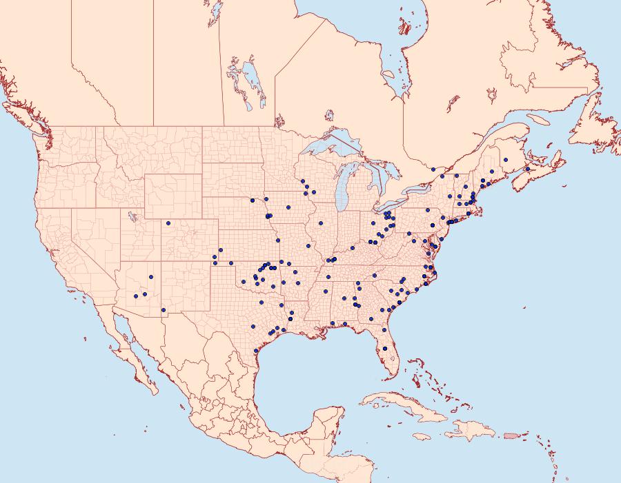 Distribution Data for Schinia nundina