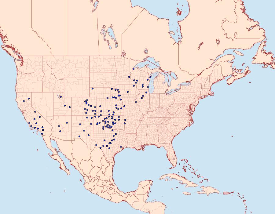 Distribution Data for Schinia tertia