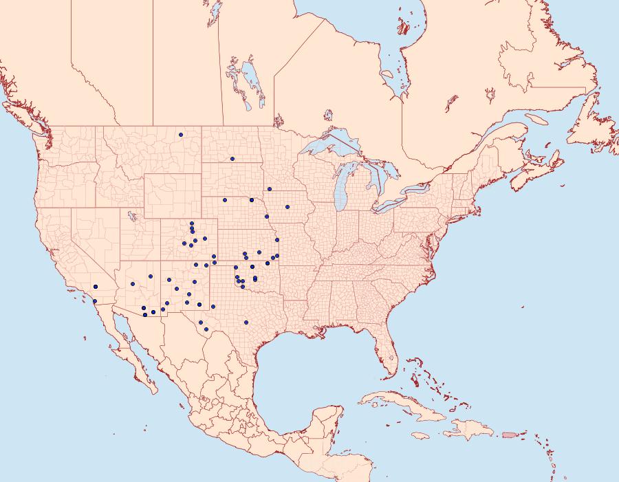 Distribution Data for Schinia hulstia