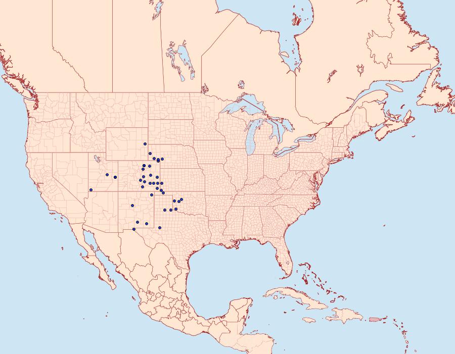 Distribution Data for Schinia reniformis