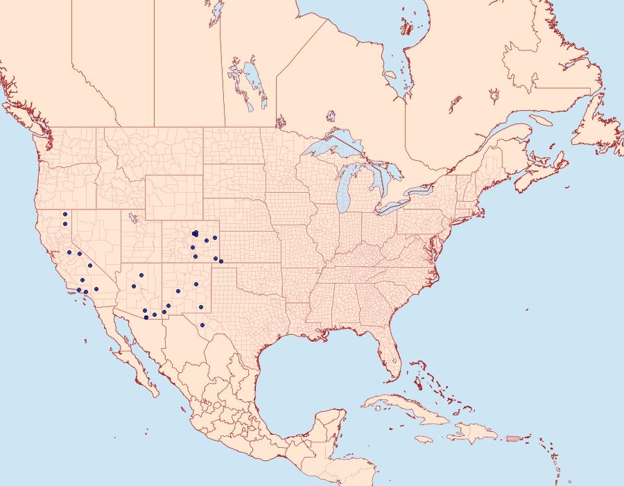 Distribution Data for Schinia obliqua