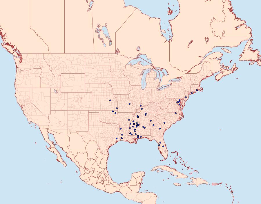 Distribution Data for Spinitibia hodgesi