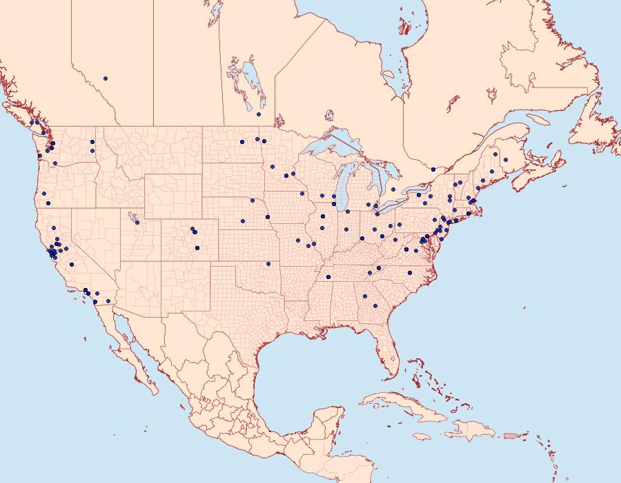 Distribution Data for Oegoconia novimundi