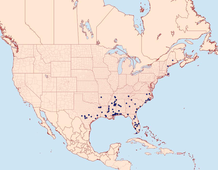 Distribution Data for Glyphidocera lactiflosella