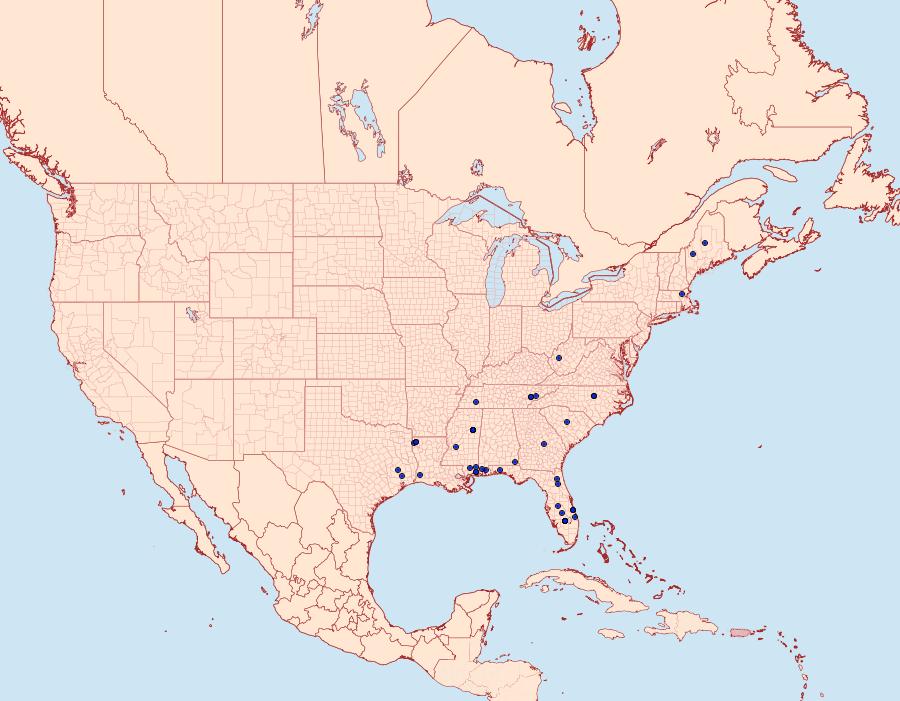 Distribution Data for Calosima dianella