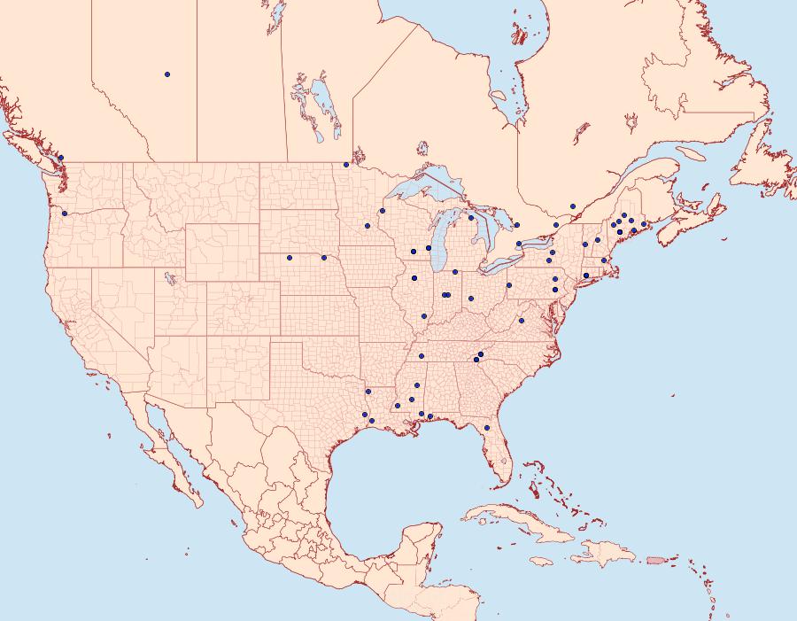 Distribution Data for Pseudopostega cretea