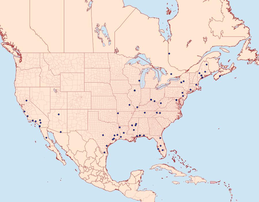 Distribution Data for Pseudopostega albogaleriella