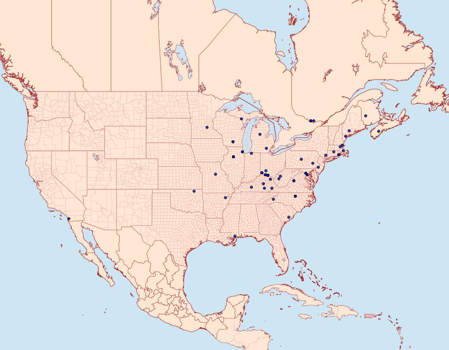 Distribution Data for Coptotriche citrinipennella