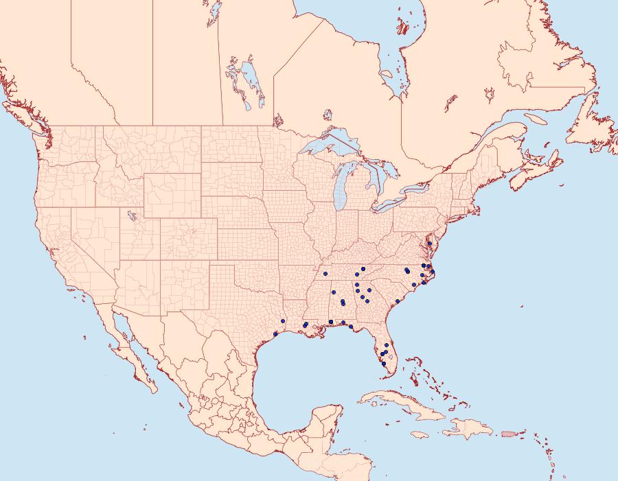 Distribution Data for Homaledra octagonella