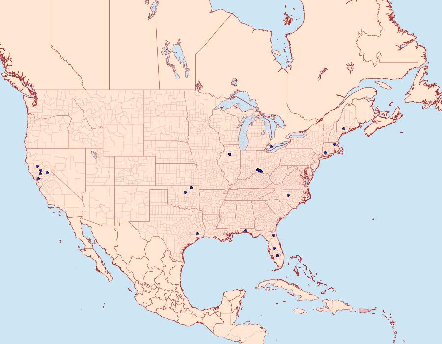 Distribution Data for Mompha cephalanthiella