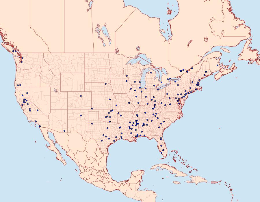 Distribution Data for Mompha eloisella