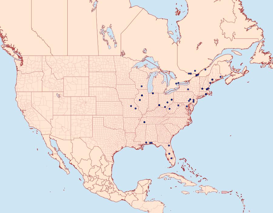 Distribution Data for Mompha stellella