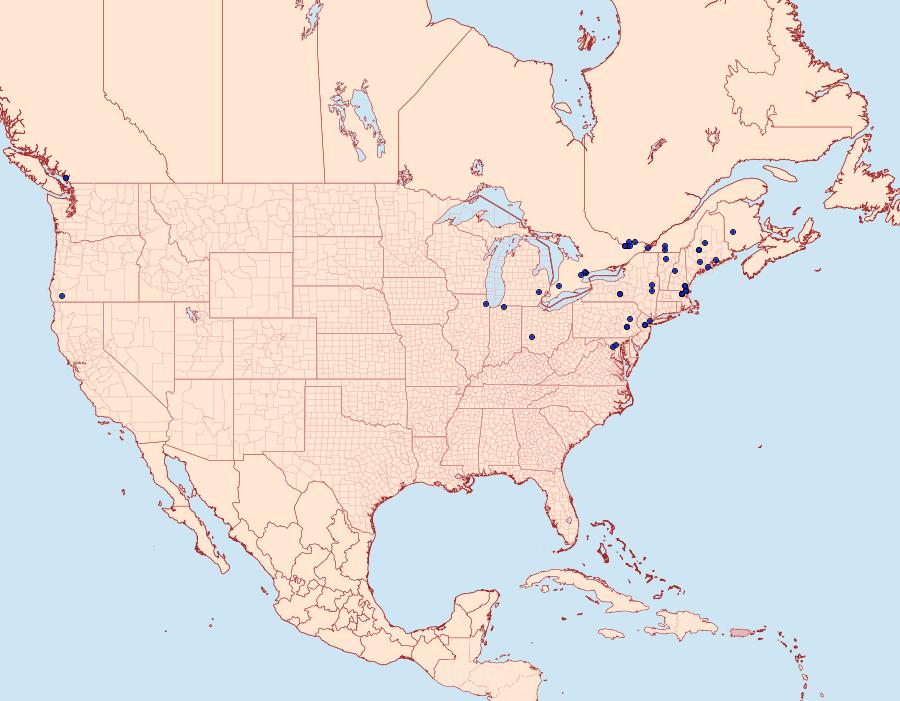 Distribution Data for Chrysoclista linneella