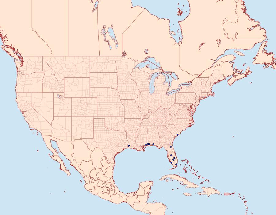 Distribution Data for Cosmopterix bacata