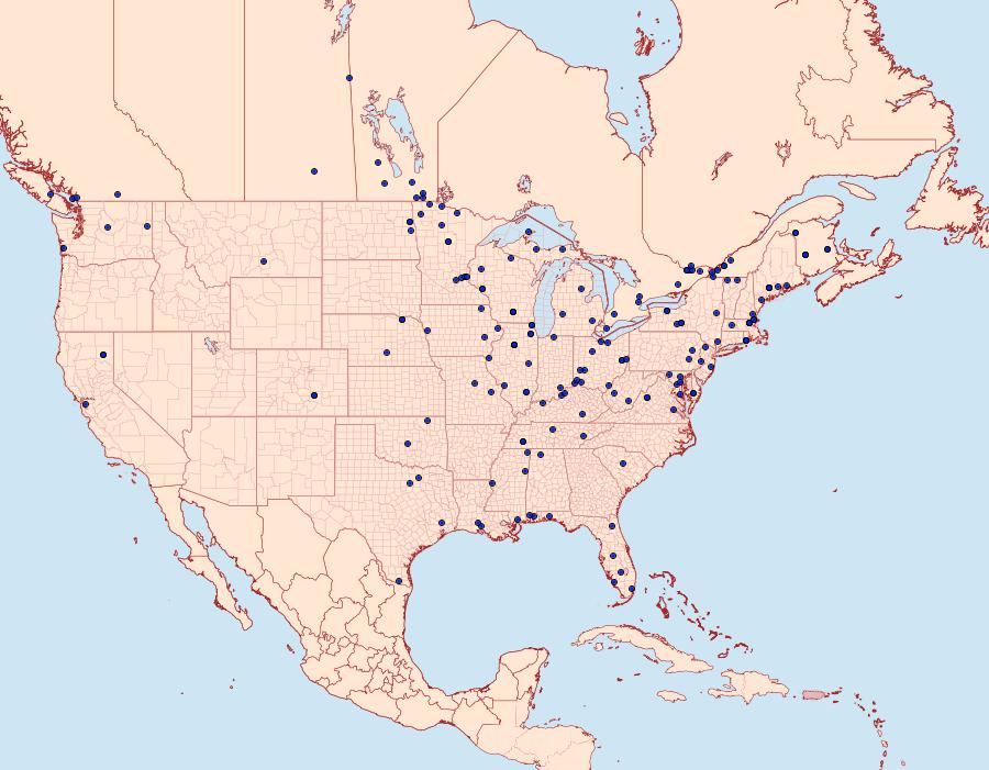 Distribution Data for Limnaecia phragmitella