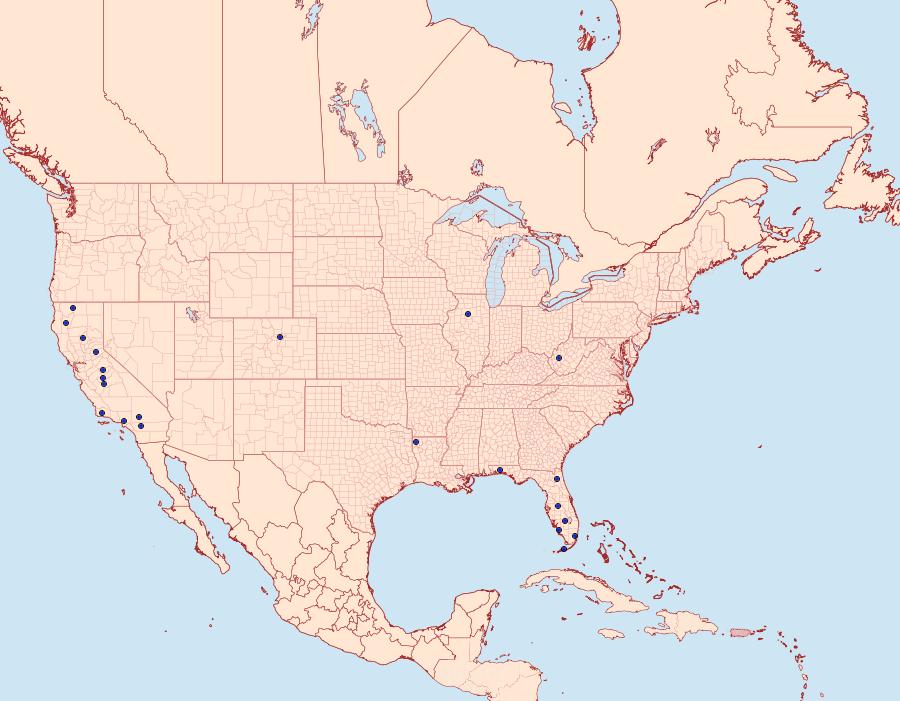 Distribution Data for Periploca orichalcella