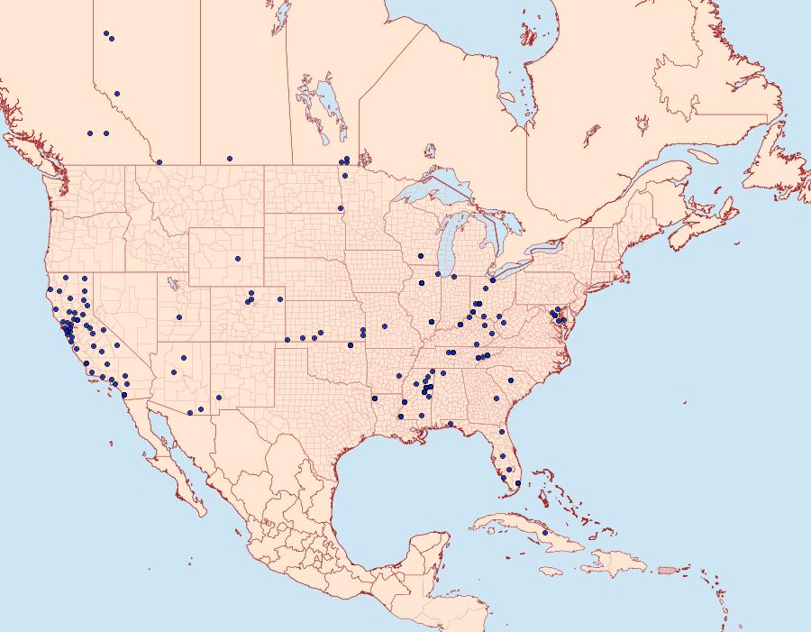 Distribution Data for Walshia miscecolorella