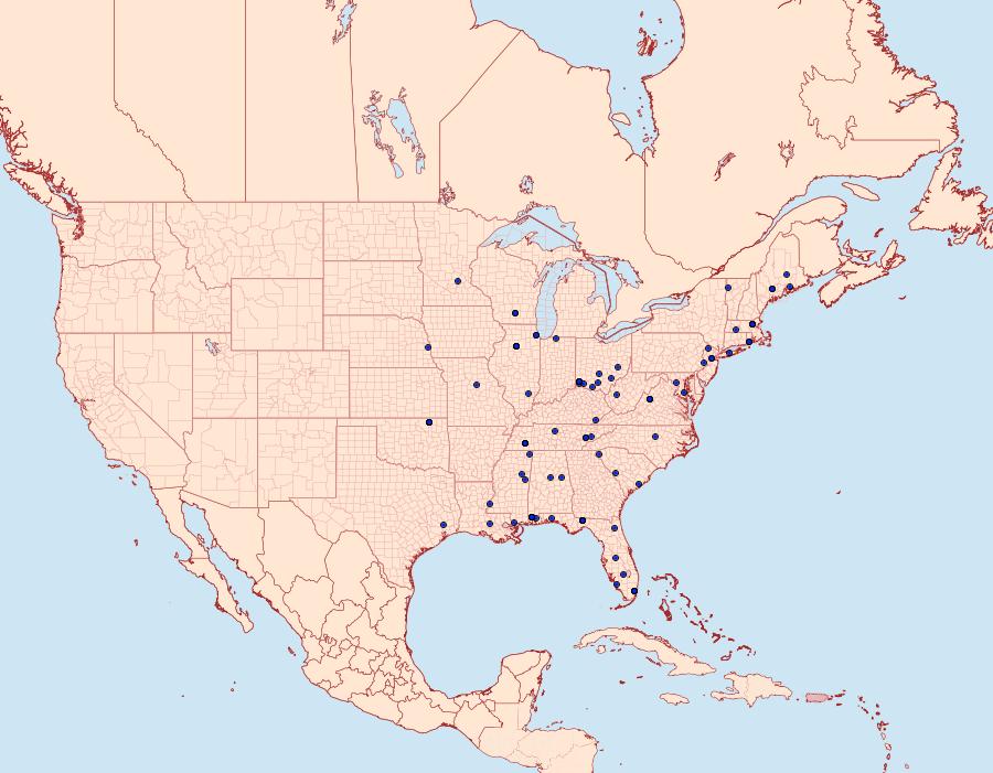 Distribution Data for Perimede erransella