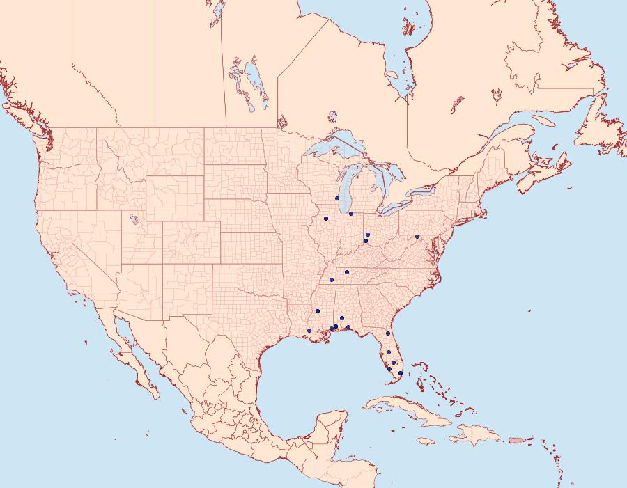 Distribution Data for Perimede falcata