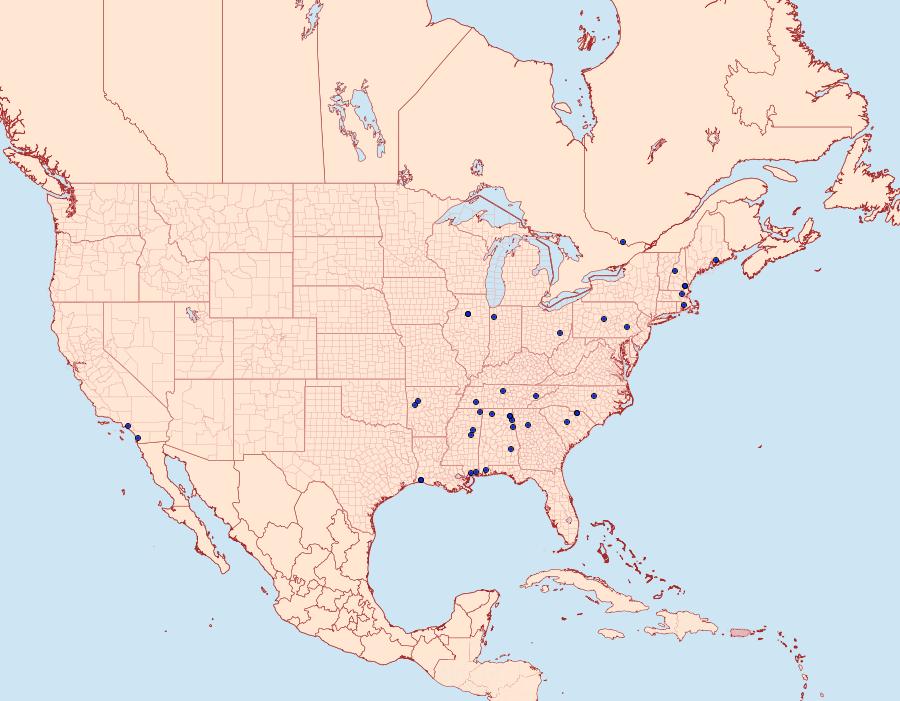 Distribution Data for Monochroa quinquepunctella