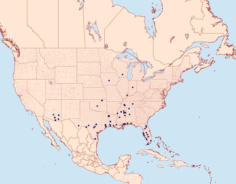 Distribution Data for Aristotelia corallina