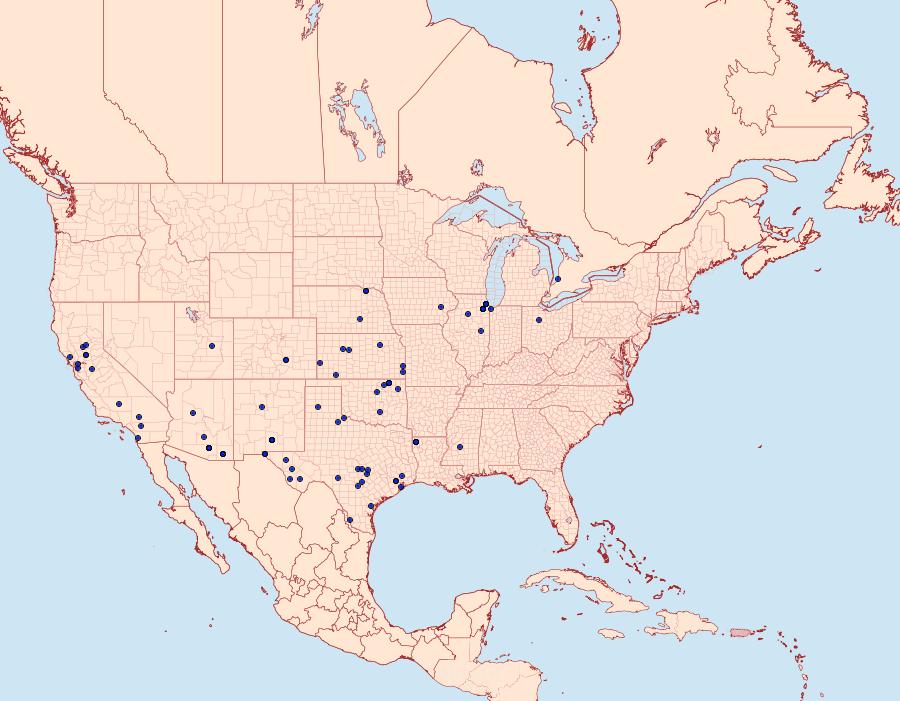 Distribution Data for Aristotelia elegantella