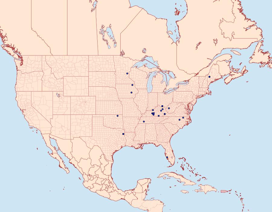 Distribution Data for Aristotelia lespedezae