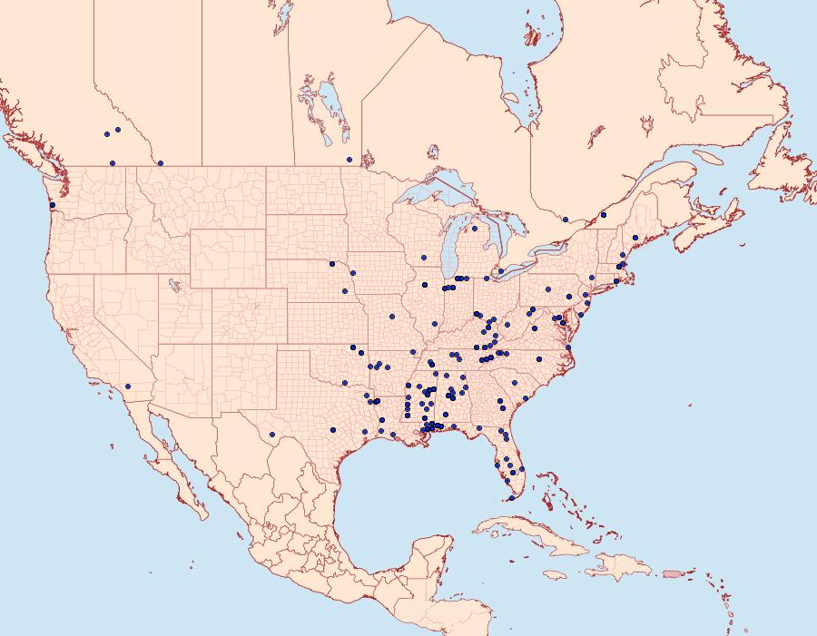 Distribution Data for Aristotelia rubidella