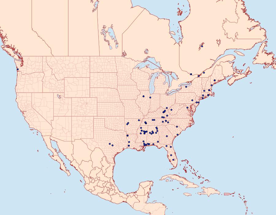 Distribution Data for Glauce pectenalaeella