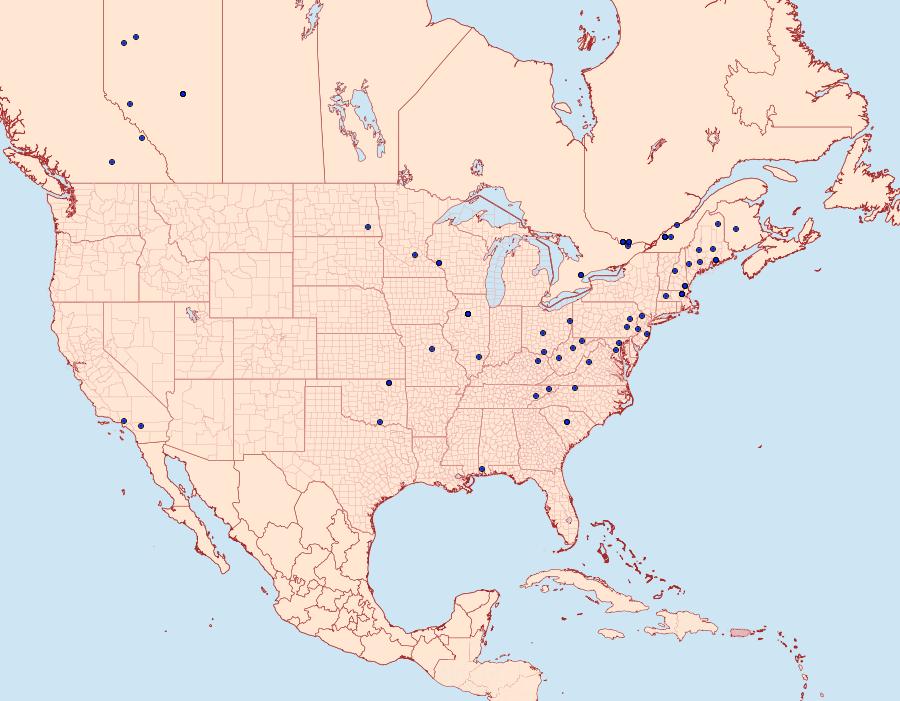 Distribution Data for Coleotechnites quercivorella