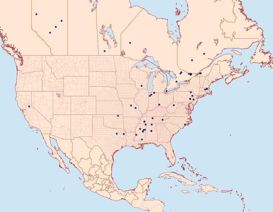 Distribution Data for Sinoe chambersi