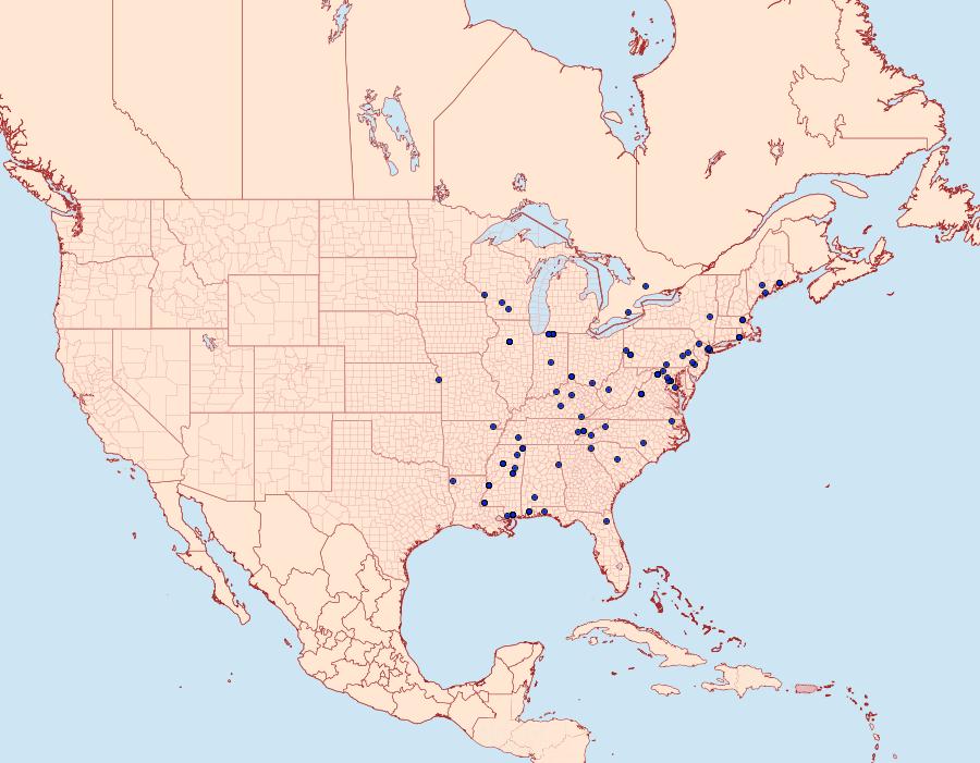 Distribution Data for Sinoe robiniella