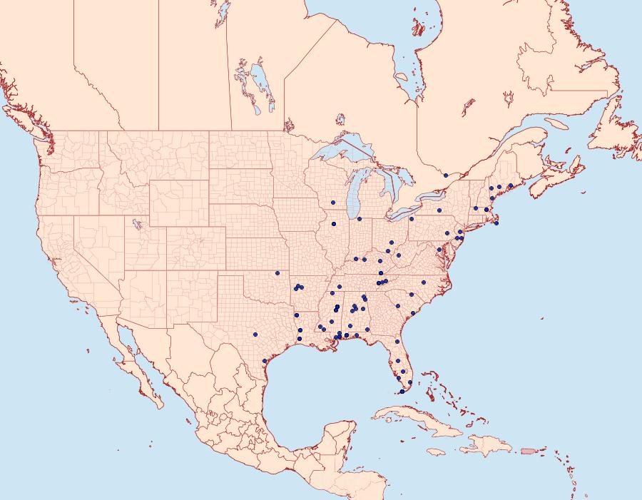 Distribution Data for Exoteleia pinifoliella