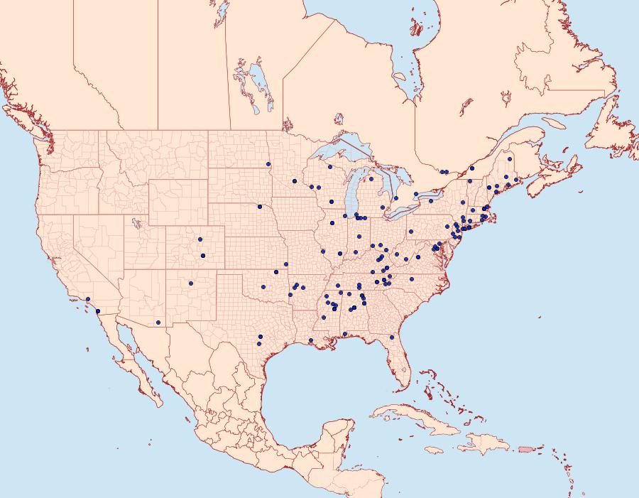 Distribution Data for Taygete attributella