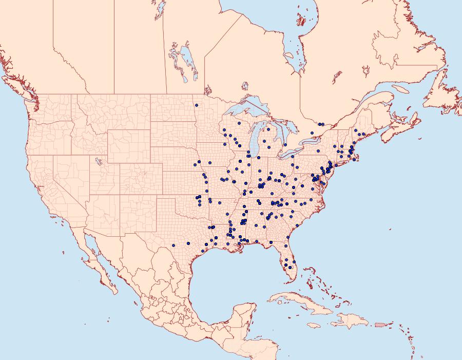 Distribution Data for Arogalea cristifasciella