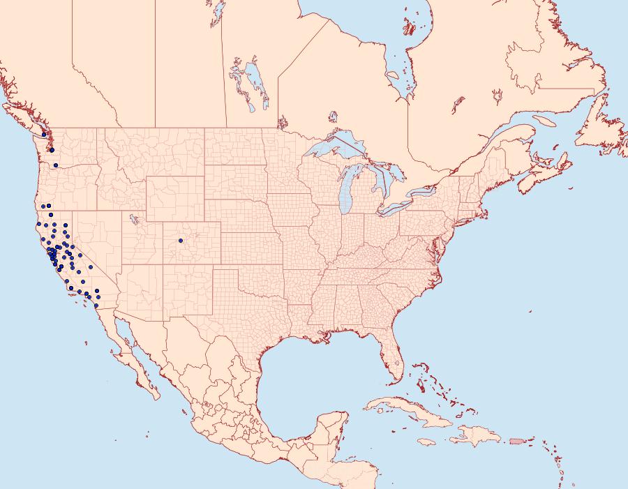 Distribution Data for Telphusa sedulitella