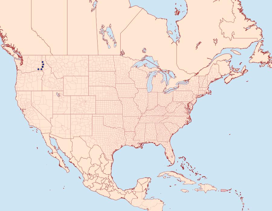 Distribution Data for Greya mitellae