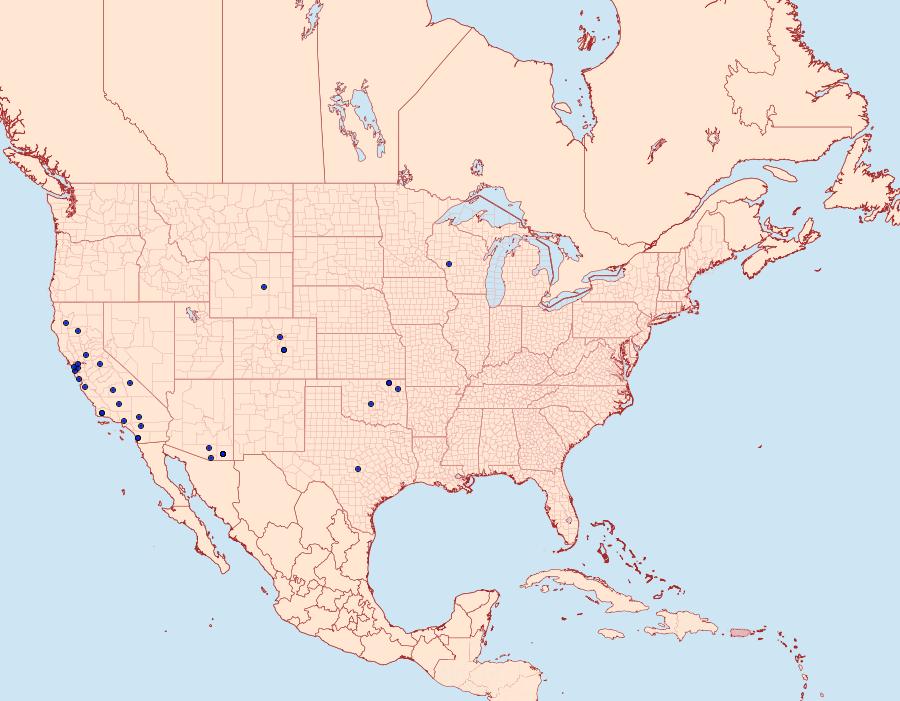 Distribution Data for Rifseria fuscotaeniaella