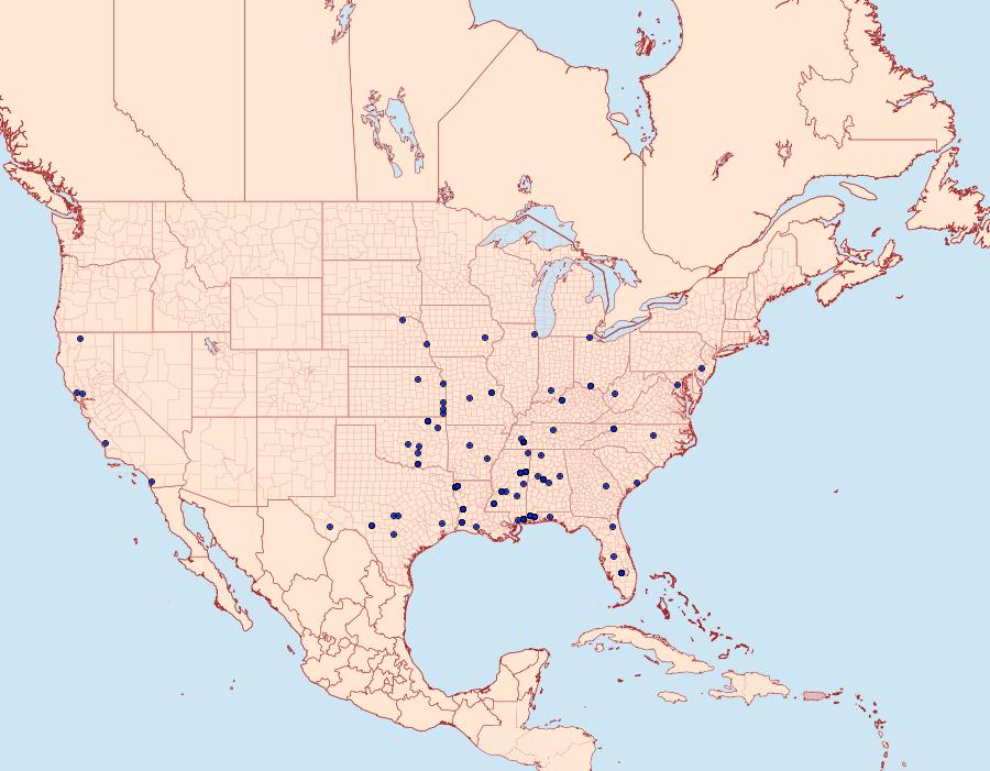 Distribution Data for Deltophora sella